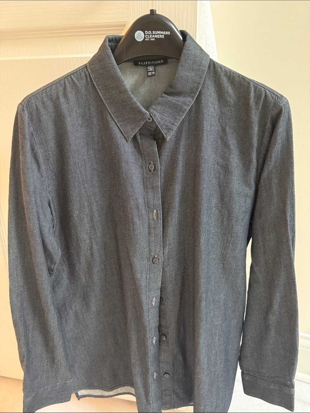 Eileen Fisher Men's Charcoal Button-Front Shirt